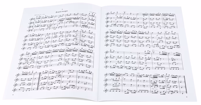 MS Flute Symphony - Noty pro příčnou flétnu