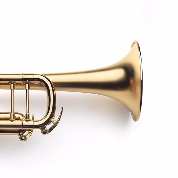 VanLaar B9.1 Bb Trumpet Brushed gold-plated - Trubka