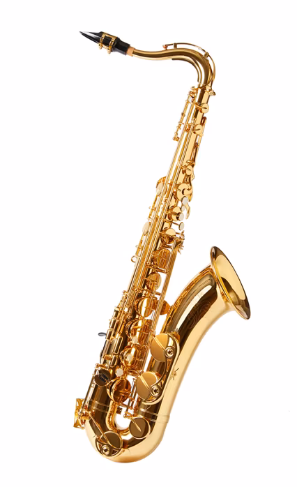 Yamaha YTS-PLU1II - Saxofon