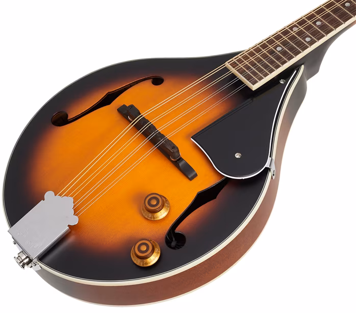 Vintage VPMA50EAV - Elektroakustická mandolína