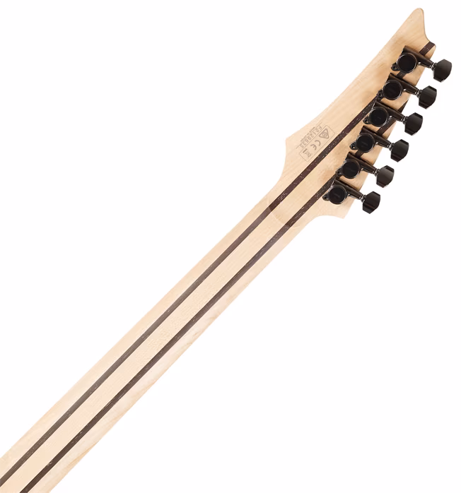Ibanez RG5120M Frozen Ocean - Elektrická kytara