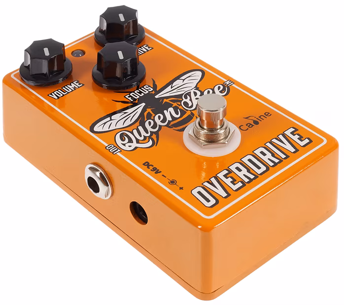 Caline CP-503 Queen Bee Overdrive - Kytarový efekt