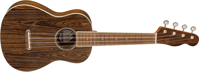Fender Zuma Exotic Concert Ukulele WN BOC - Akustické ukulele