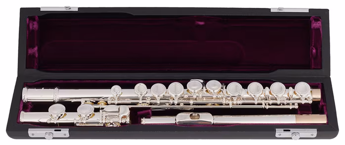 Trevor James TJ10x 3041 ESLRW - Příčná flétna