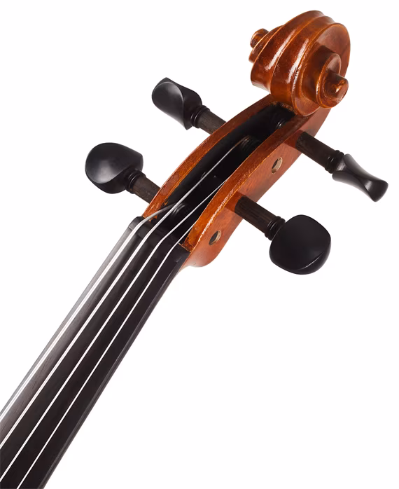 Bacio Instruments AA50 Concert Viola 16 - Viola