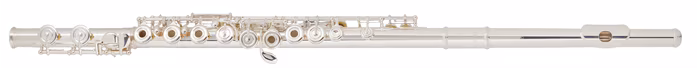 Yamaha YFL-272 - Příčná flétna