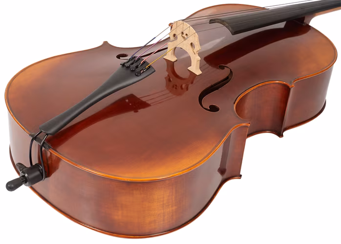 Gewa Maestro 6 Cello 4/4 - Violoncello