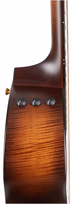 Taylor Builders Edition 614ce WHB - Elektroakustická kytara