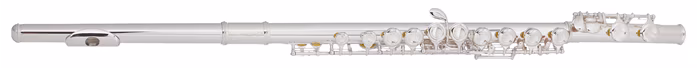Bacio Instruments BFL-150C - Příčná flétna