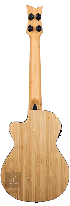 Ortega RUNAB-TE - Elektroakustické ukulele
