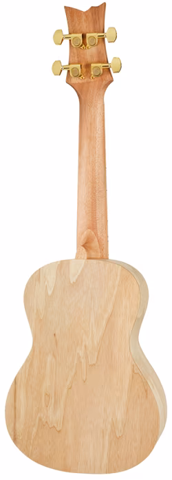 Ortega RUAR-EY - Akustické ukulele