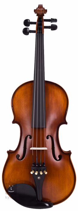 Soundsation VSPVI-44 - Akustické housle