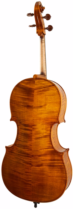 Maestro Instrument Petr Rácz Violoncello anno 2015 - Violoncello