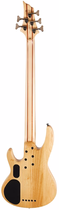 ESP LTD B-205SM NS - Elektrická baskytara