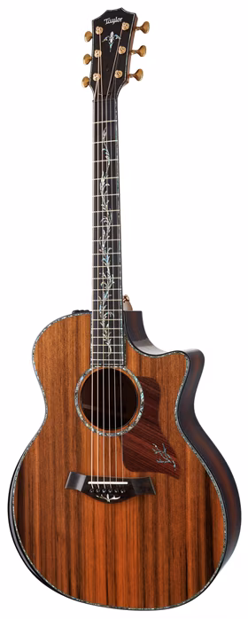 Taylor PS14ce - Elektroakustická kytara