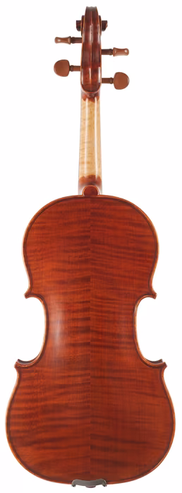 Vienna Violin Violine Pinus II 4/4 - Akustické housle