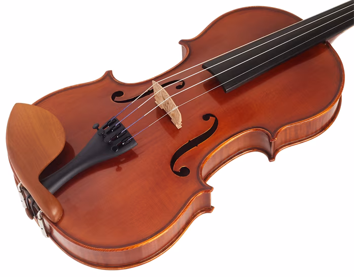 Vienna Violin Violine Pinus II 4/4 - Akustické housle