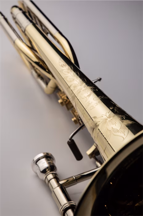 S.E.Shires TBQ36YR - Trombon