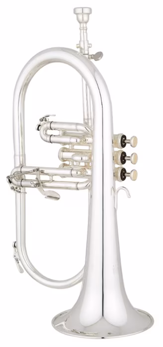 Eastman EFG521GS - Křídlovka