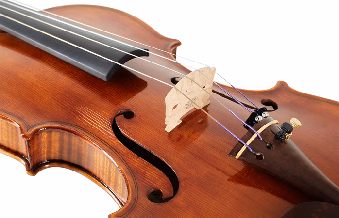 Petr Rácz Guarneri ,,Lo Staufer“ Violin Anno - Akustické housle