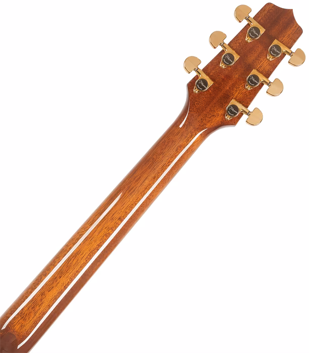 Takamine P5NC - Elektroakustická kytara