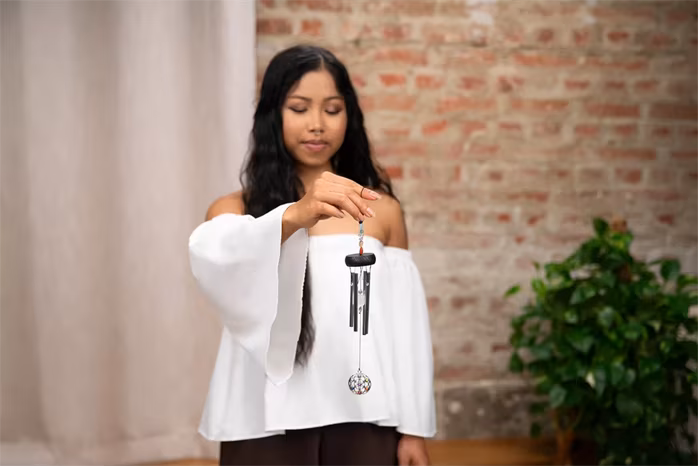 Meinl Sonic Energy Mini Chakra Chime Silver - Zvonkohra