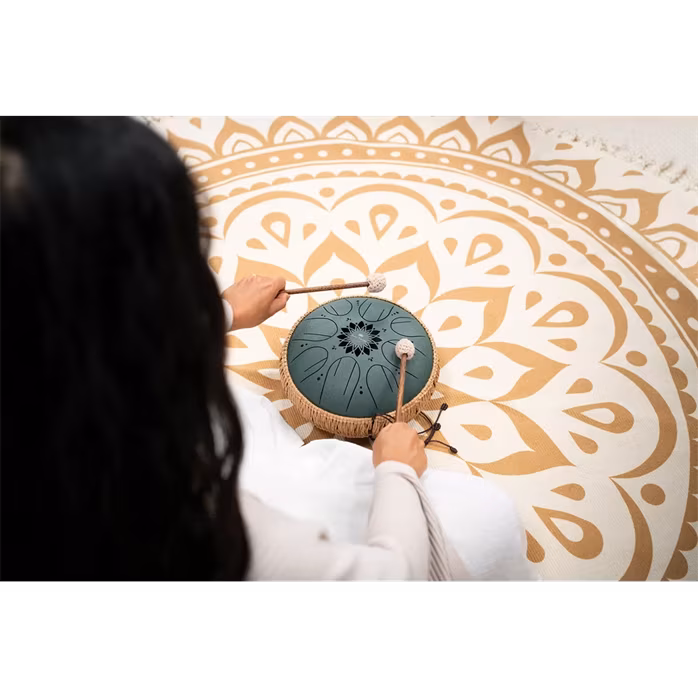 Meinl Sonic Energy 10" Octave Steel Tongue Drum F# Minor - Tongue drum