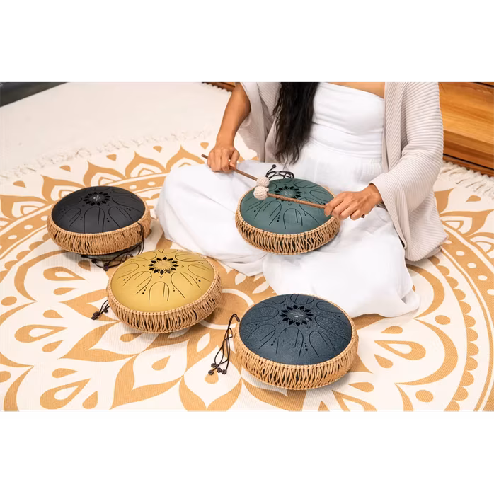 Meinl Sonic Energy 10" Octave Steel Tongue Drum F# Minor - Tongue drum