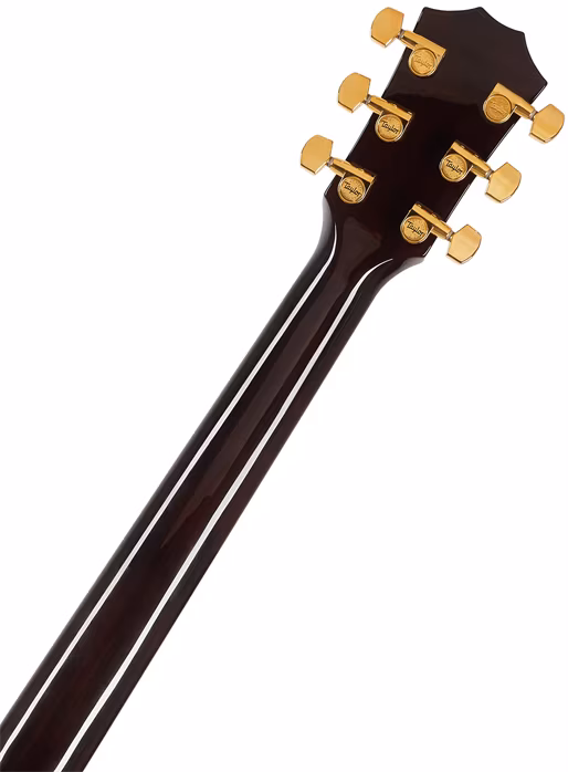 Taylor T5z Custom Koa Armrest - Elektroakustická hybridní kytara