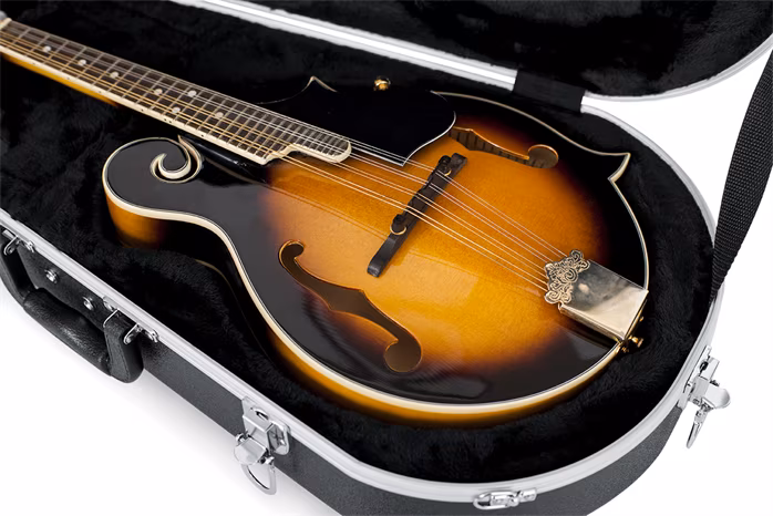 Gator GC-mandolin - Kufr pro mandolínu