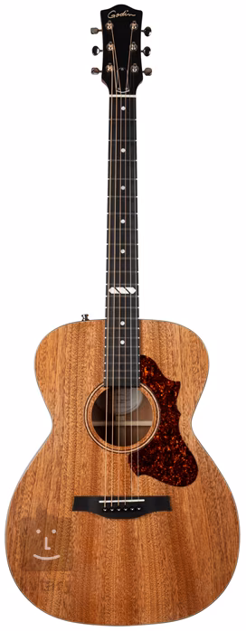 Godin Fairmount Concert Hall Composer EQ - Elektroakustická kytara