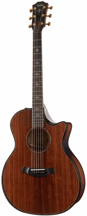 Taylor Builders Edition 914ce Honduran - Elektroakustická kytara