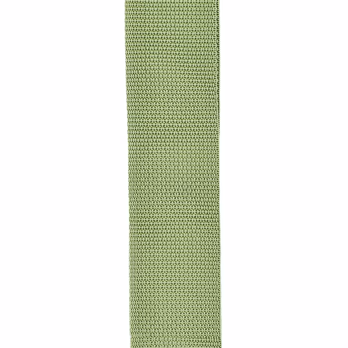 D'Addario Polypropylene Guitar Strap Green - Kytarový popruh