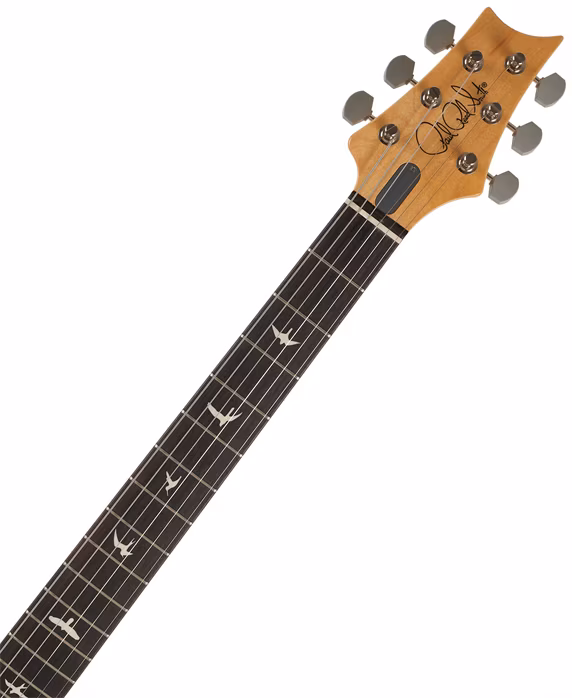 PRS Silver Sky RW Frost - Elektrická kytara