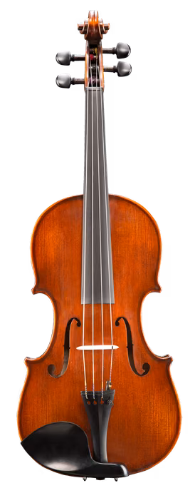Eastman Andreas Eastman Viola 4/4 (VA305) - Viola