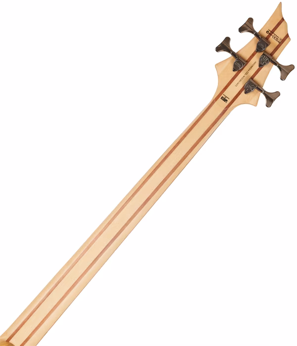 ESP LTD B-204SM NS - Elektrická baskytara