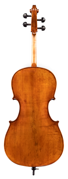 Eastman 830 Series Stradivari/Maple Cello - Violoncello