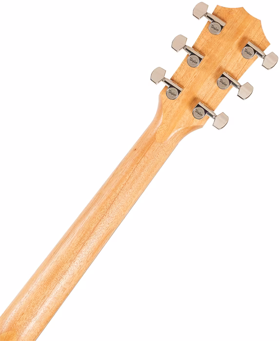 Taylor 210ce Plus - Elektroakustická kytara