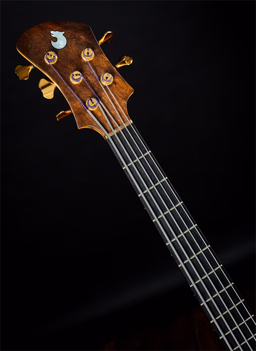 Vlček Basses 2019 BSR Clone 5 Scale-Up Body - Elektrická baskytara