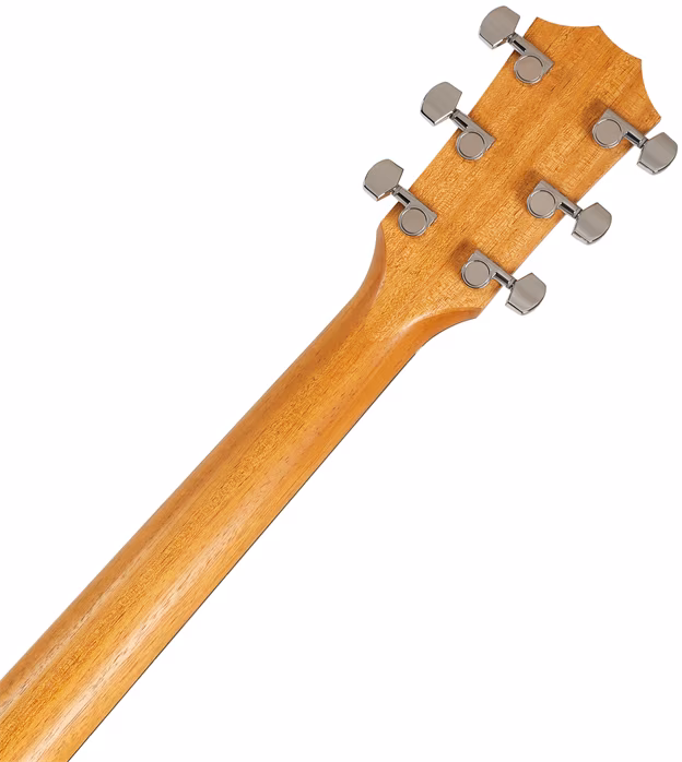 Taylor 214ce - Elektroakustická kytara