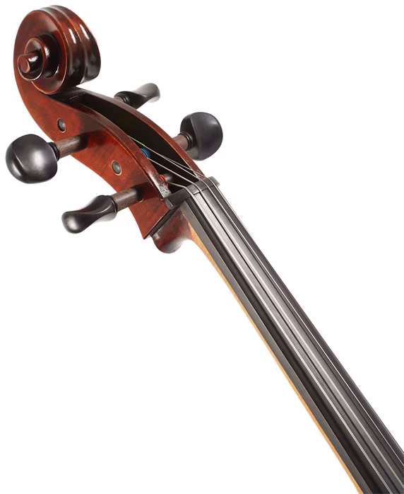 Eastman Ivan Dunov Cello 4/4 (VC401 ) - Violoncello