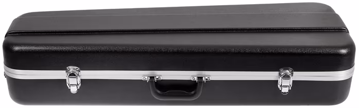 Eastman Oblong Thermoplastic 16" Viola case - Pouzdro na violu