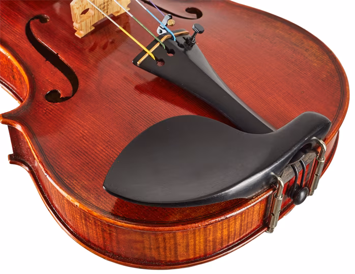 Eastman Andreas Eastman Master Violin 4/4 (VL605) - Akustické housle