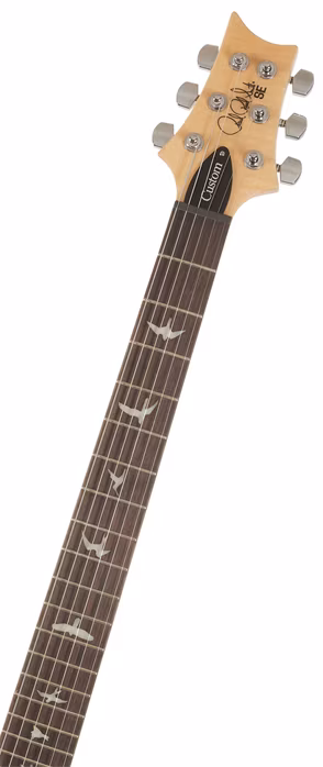 PRS SE Custom 24 Turquiose - Elektrická kytara