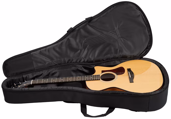 Eastman AC222CE-DLX - Elektroakustická kytara
