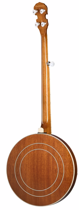 Epiphone Mastertone Classic Banjo Natural - Banjo