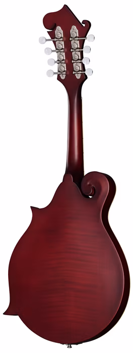 Epiphone F-5 Studio Wine Red Satin - Akustická mandolína