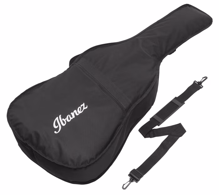 Ibanez PF15JR Natural - Akustická kytara