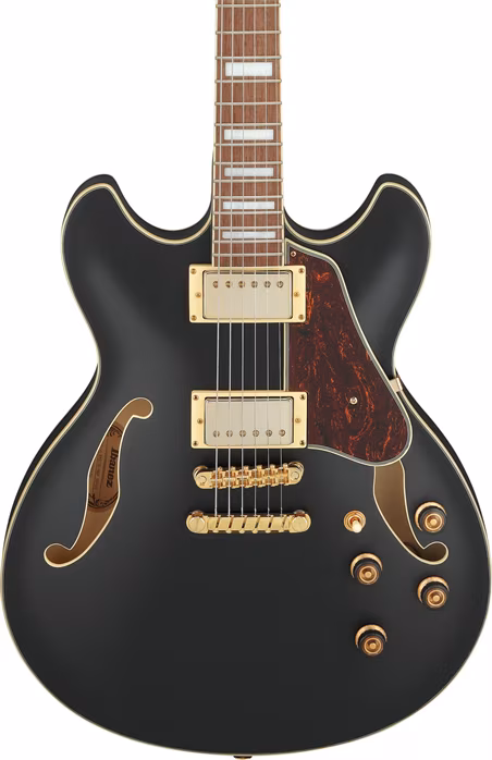 Ibanez AS73G Black - Semiakustická kytara