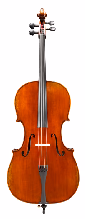 Eastman Albert Nebel Cello 4/4 (VC601G) - Violoncello
